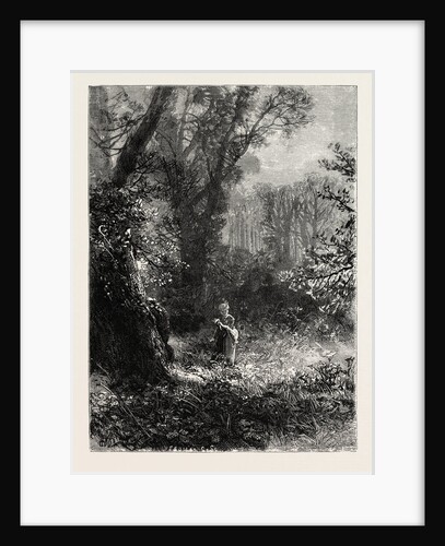 A Watching, As in Childhood, for the Flowers that One by One Open Their Golden Petals to Woo the Fitful Sun by Anonymous