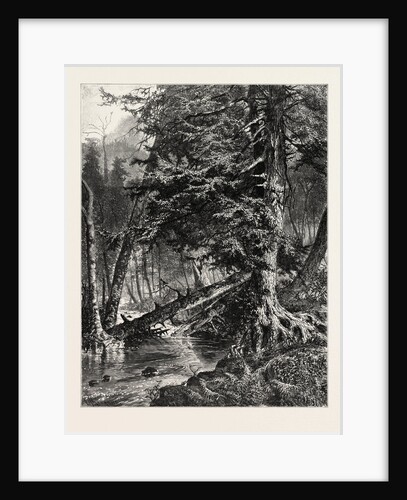 Kettle Run, Altoona by Anonymous