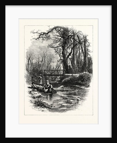 October Days by Anonymous