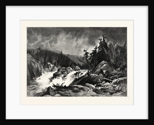 Rapids of the Au Sable by Anonymous
