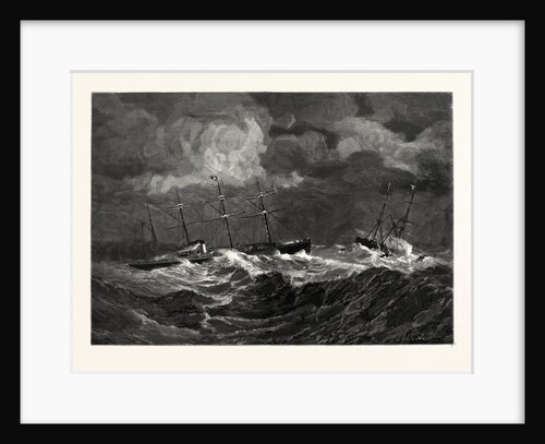 The Rescue by Anonymous
