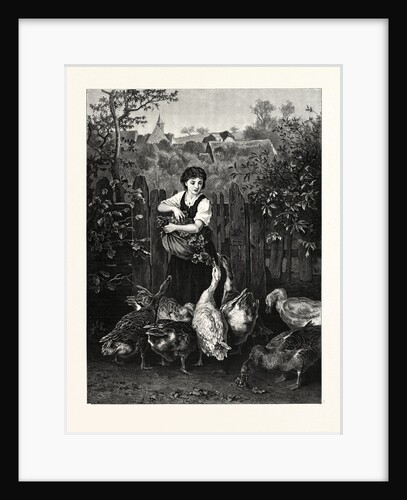 Dinner-Time by Anonymous