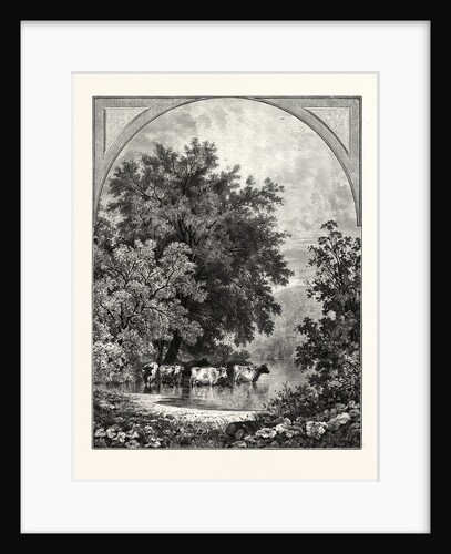 Under the Elms by Anonymous