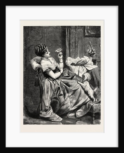 The Rivals by Anonymous