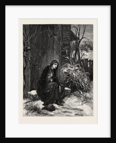 Mary of the Wild Moor by Anonymous