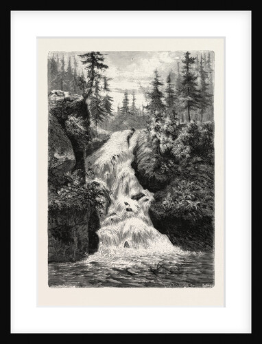 The Zackenfall, Bohemia. by Anonymous