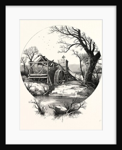 Winter. The Trees Stand Shivering in the Frosty Air by Anonymous