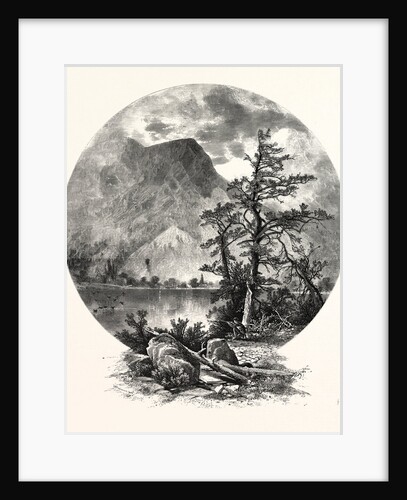 A Spur of Tammany, Delaware Water Gap by Anonymous