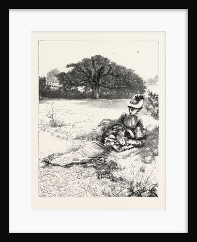 In the Fields, with Sun and Flowers by Anonymous