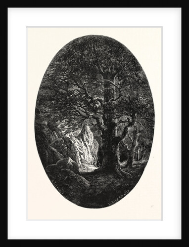 The Heron's Rock by Anonymous