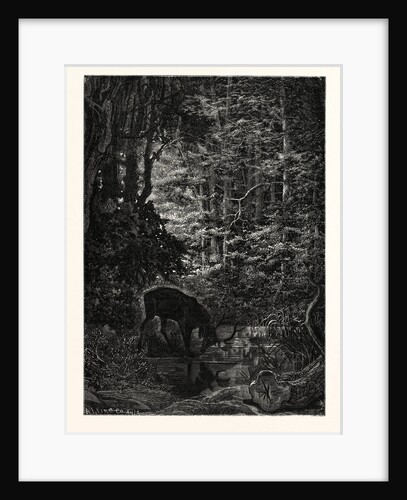 The Stag at Eve Had Drunk His Fill. by Anonymous