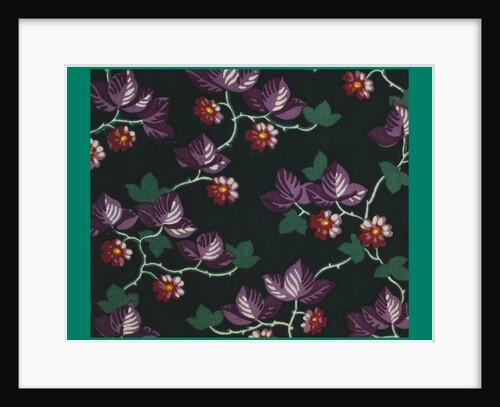 French Fabrics; First Half of the Nineteenth Century by Anonymous