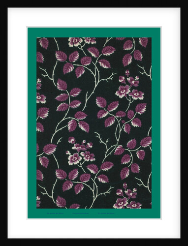 French Fabrics; First Half of the Nineteenth Century by Anonymous
