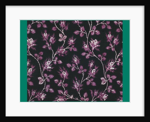 French Fabrics; First Half of the Nineteenth Century by Anonymous