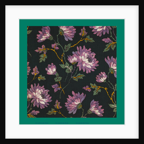 French Fabrics; First Half of the Nineteenth Century by Anonymous