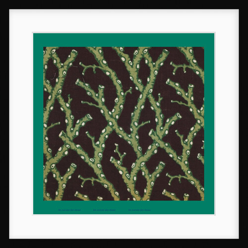 French Fabrics; First Half of the Nineteenth Century by Anonymous