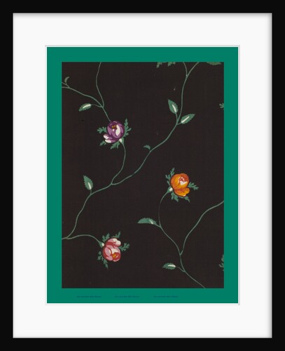 French Fabrics; First Half of the Nineteenth Century by Anonymous