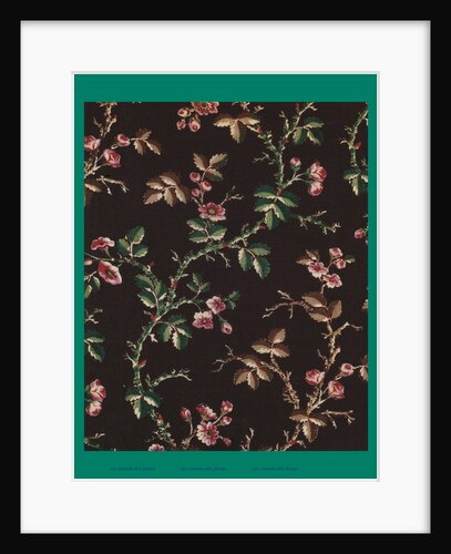 French Fabrics; First Half of the Nineteenth Century by Anonymous