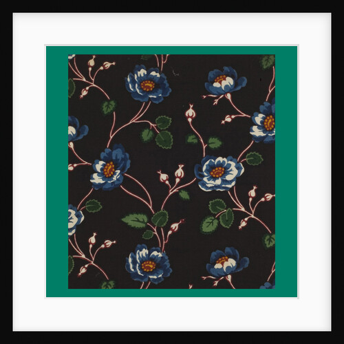 French Fabrics; First Half of the Nineteenth Century by Anonymous