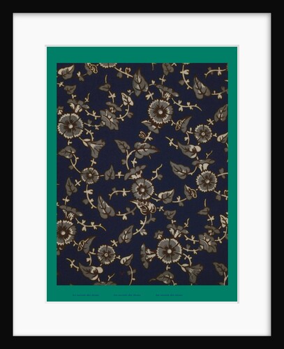 French Fabrics; First Half of the Nineteenth Century by Anonymous