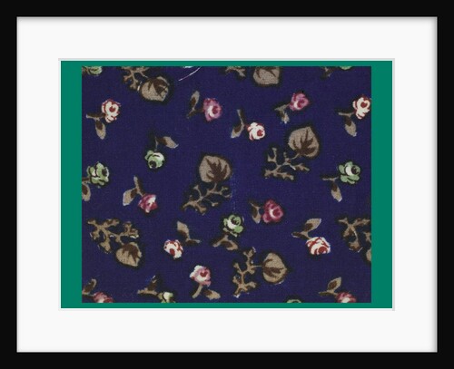 French Fabrics; First Half of the Nineteenth Century by Anonymous