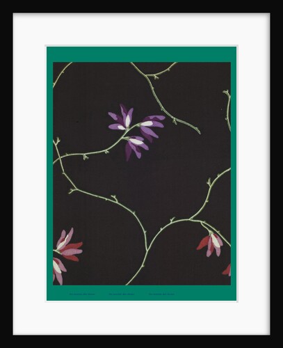 French Fabrics; First Half of the Nineteenth Century by Anonymous