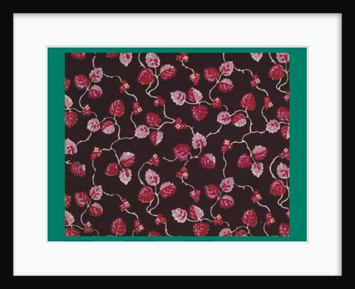 French Fabrics; First Half of the Nineteenth Century by Anonymous