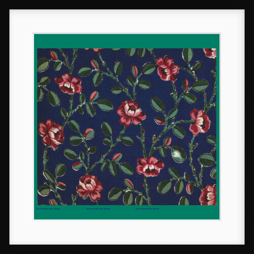 French Fabrics; First Half of the Nineteenth Century by Anonymous
