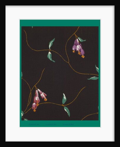 French Fabrics; First Half of the Nineteenth Century by Anonymous