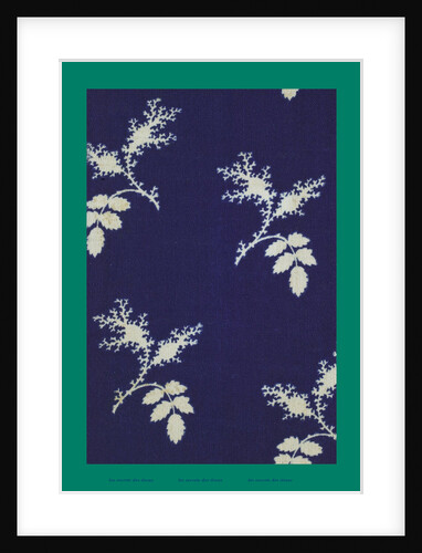 French Fabrics; First Half of the Nineteenth Century by Anonymous