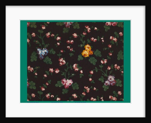 French Fabrics; First Half of the Nineteenth Century by Anonymous