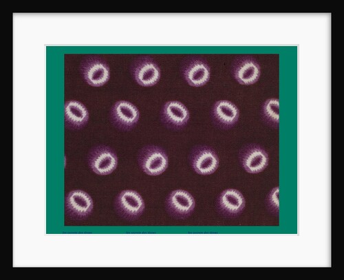 French Fabrics; First Half of the Nineteenth Century by Anonymous