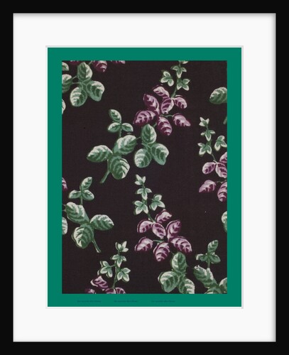 French Fabrics; First Half of the Nineteenth Century by Anonymous