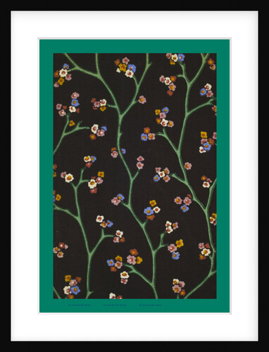 French Fabrics; First Half of the Nineteenth Century by Anonymous