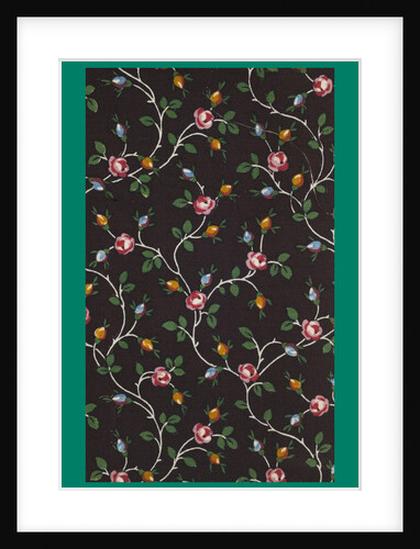 French Fabrics; First Half of the Nineteenth Century by Anonymous