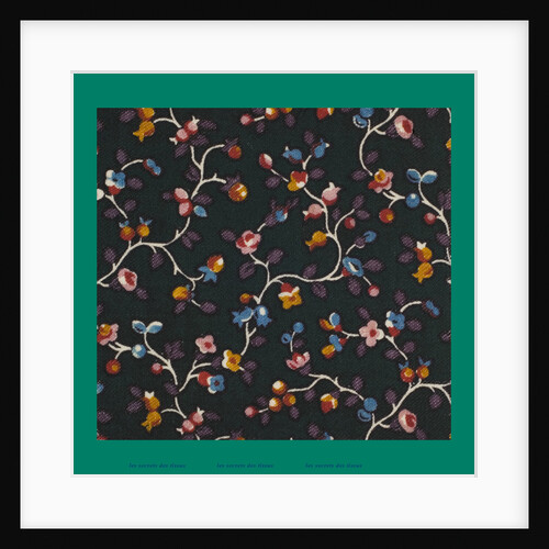 French Fabrics; First Half of the Nineteenth Century by Anonymous