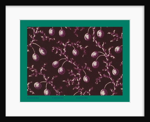 French Fabrics; First Half of the Nineteenth Century by Anonymous