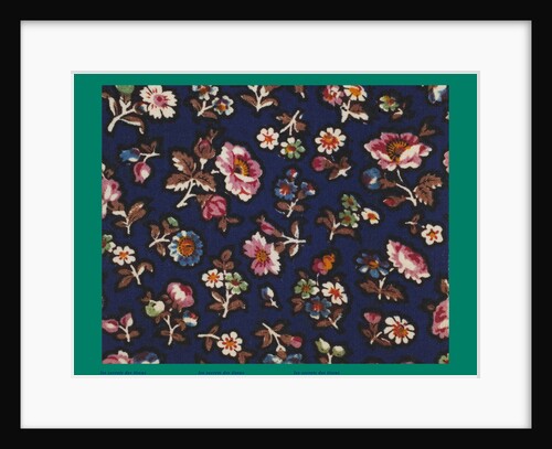 French Fabrics; First Half of the Nineteenth Century by Anonymous