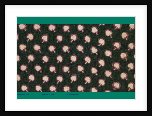 French Fabrics; First Half of the Nineteenth Century by Anonymous