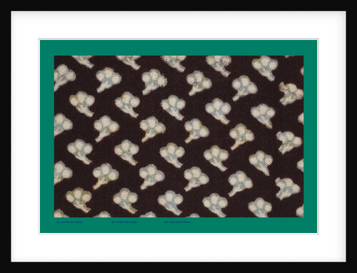 French Fabrics; First Half of the Nineteenth Century by Anonymous