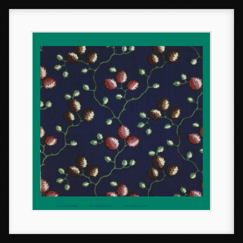 French Fabrics; First Half of the Nineteenth Century by Anonymous