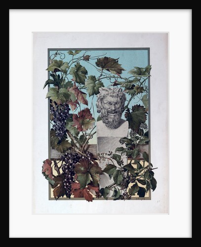 The Plant by Anonymous