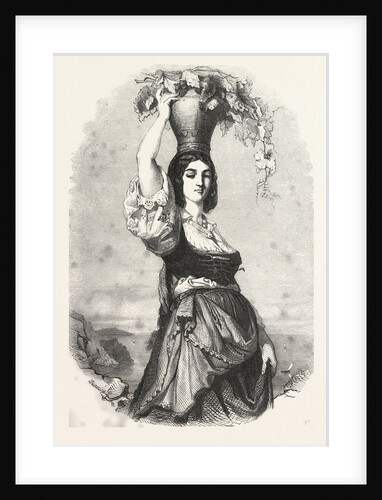 The Winemaker of Capri by Anonymous