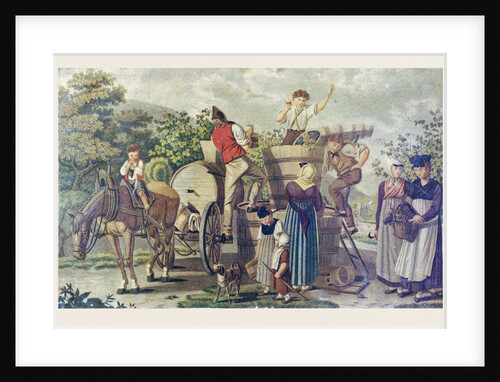 The Harvesting of Wine Grapes by Anonymous