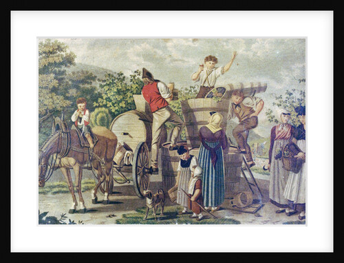 The Harvesting of Wine Grapes by Anonymous