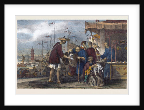 Cats and a Tea House in China by Anonymous