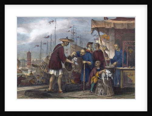 Cats and a Tea House in China by Anonymous