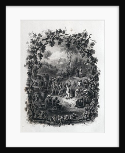 The Grapes Harvest in France by Anonymous