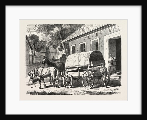 Bottles of Mineral Water by Anonymous