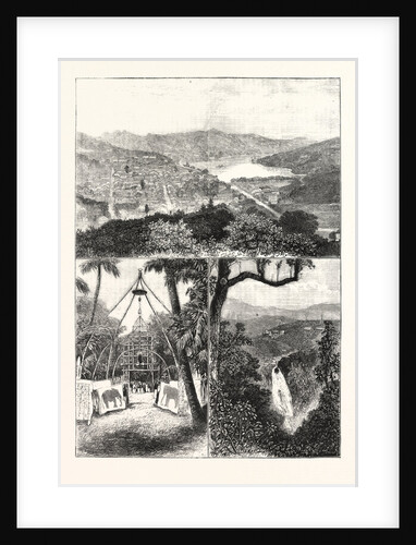 The Prince of Wales at Ceylon, 1876, Sri Lanka by Anonymous